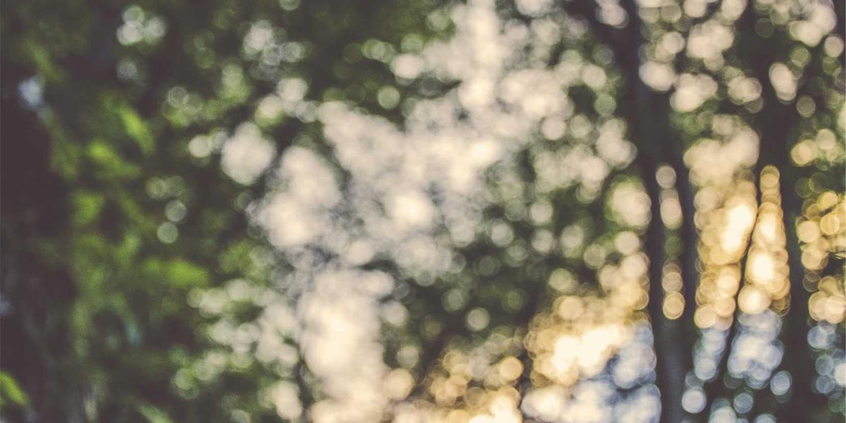 ليلة الكوميديا الكبرى — ستاندأب