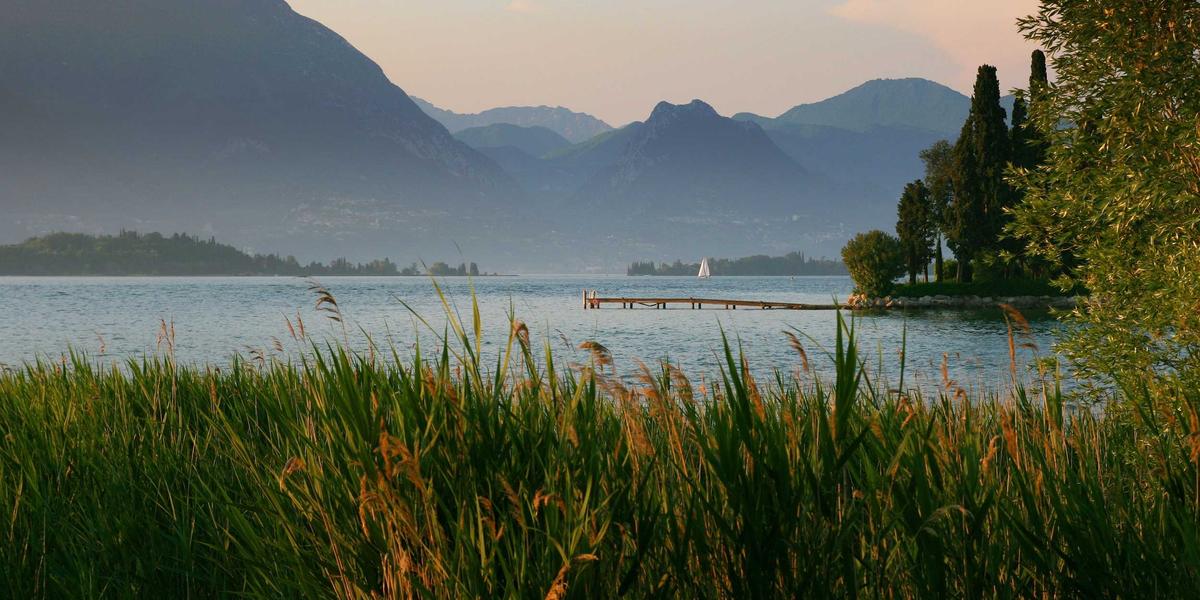 ليلة الارتجال — Improv Night